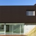 Фасадная панель из ДПК WOODVEX Венге купить в Нижнекамске