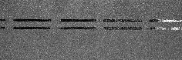 Коньково-карнизная черепица Docke Premium, черника купить в Нижнекамске