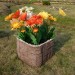 Цветник КАНЬОН купить в Нижнекамске