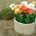 Цветник КАНЬОН купить в Нижнекамске