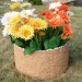Цветник КАНЬОН купить в Нижнекамске